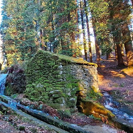 Matos Casas De Campo Cabeceiras de Basto Exteriör bild