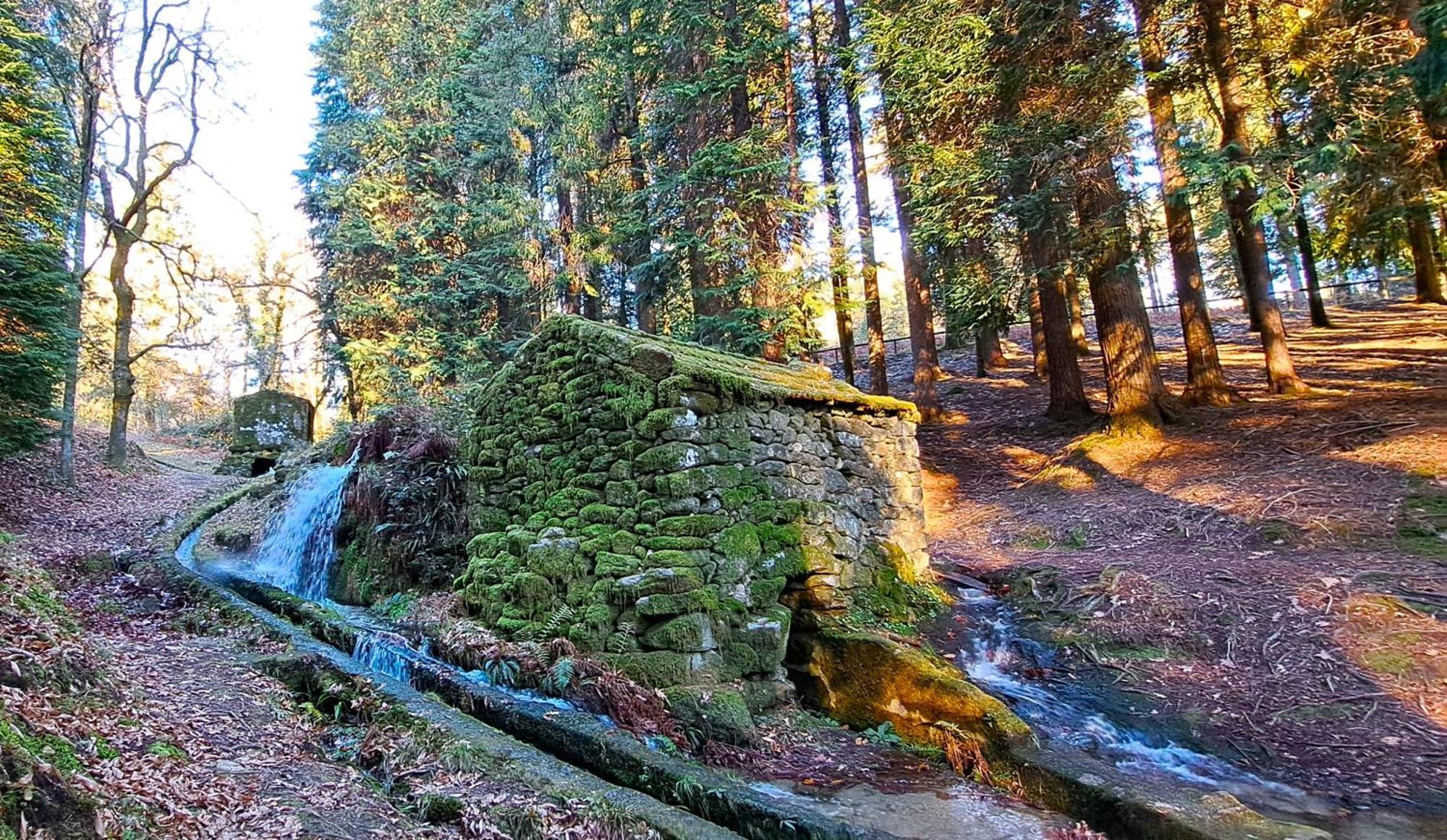 Matos Casas De Campo Cabeceiras de Basto Exteriör bild