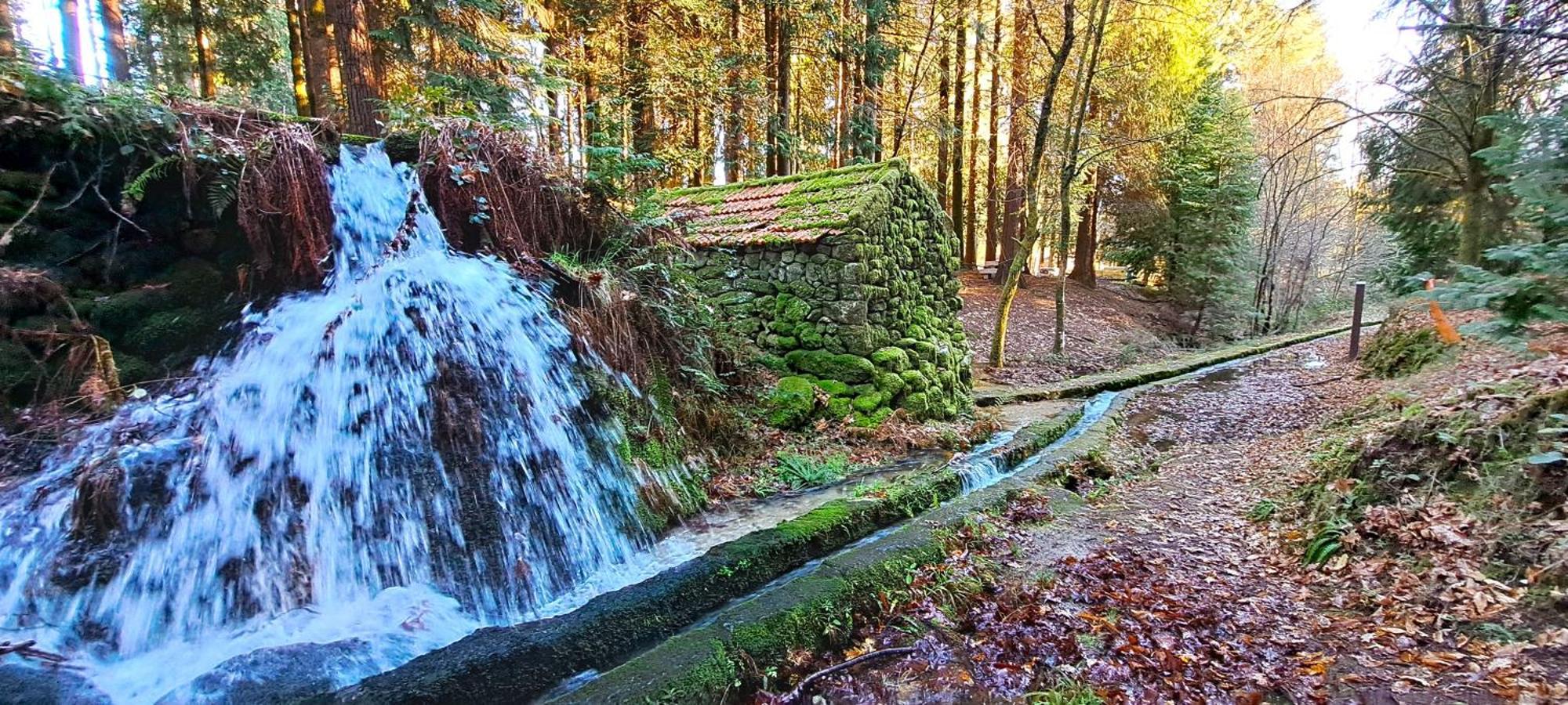 Matos Casas De Campo Cabeceiras de Basto Exteriör bild